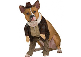 Illustration for article titled Gifts For Pets Owned By Geeks Who Treat Them Like Spoiled Children